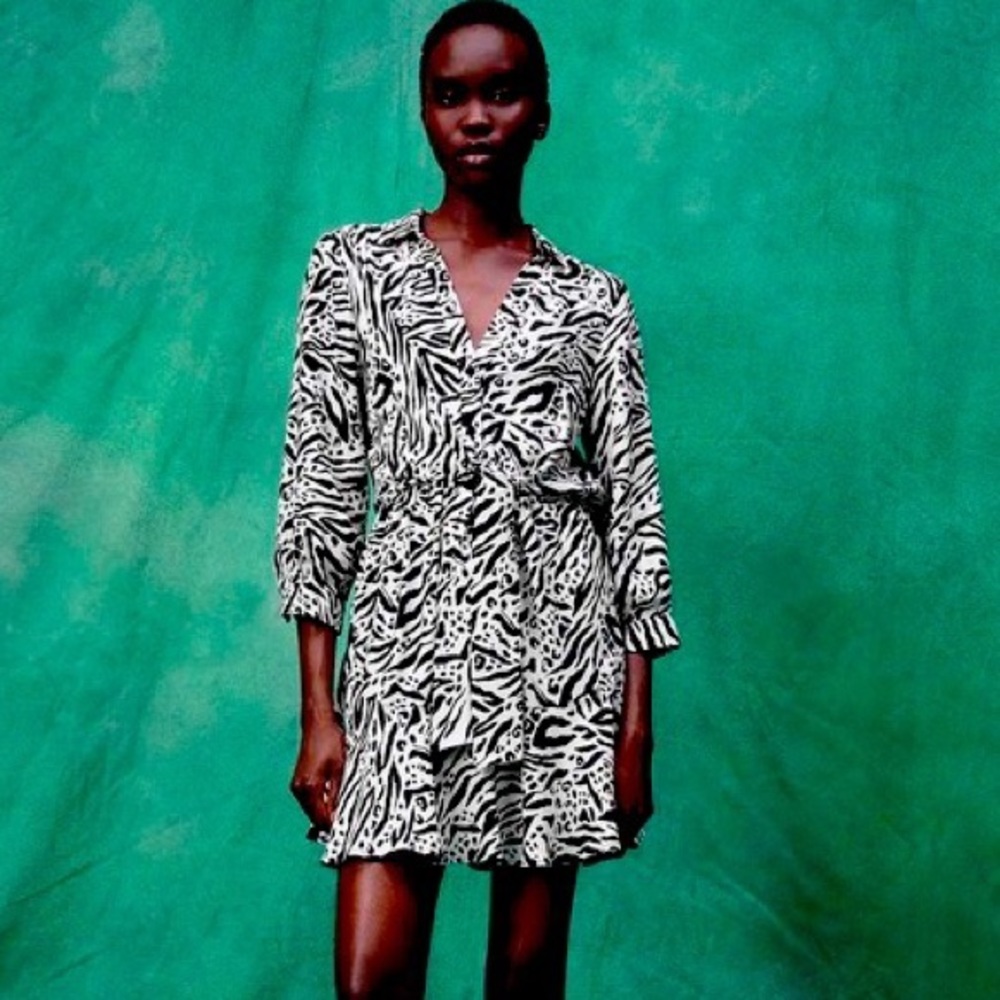 ‘Zara’ animal print dress